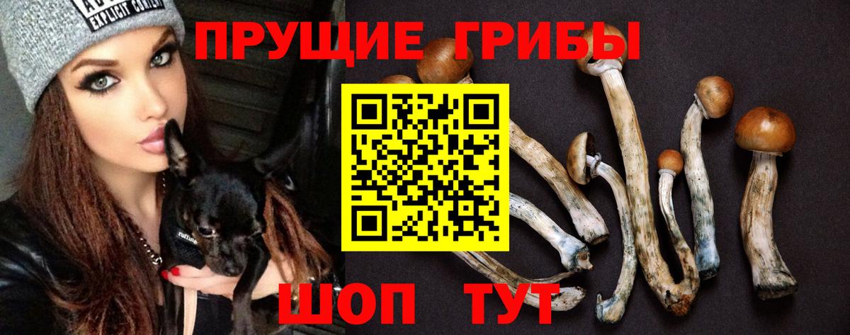 Трёхгорный  Псилоцибиновые грибы прущие грибы  Вход с VPN  Галлюциногенные грибы ЛСД 